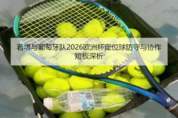 ruo-ta-yu-pu-tao-ya-dui-ou-zhou-bei-ding-wei-qiu-fang-shou-yu-xie-zuo-duan-ban-shen-xi-2-855.jpg